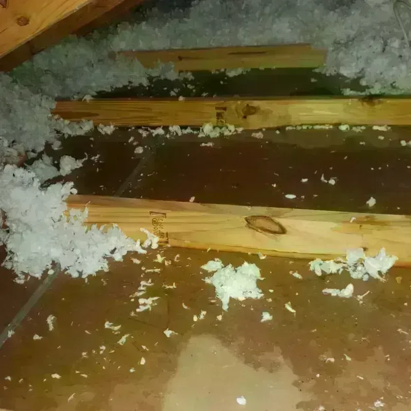 Attic Water Damage in Country Walk, FL